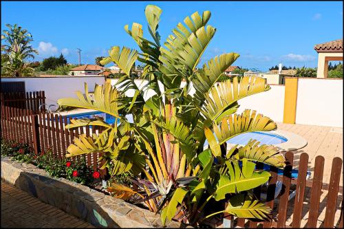 Chalet con piscina privada
