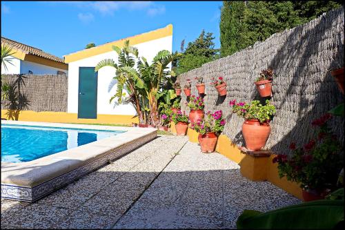 Chalet con piscina en Roche Viejo