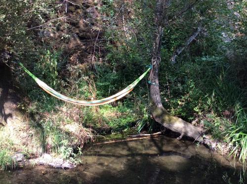 a hammock tied to a tree next to a body of water at Unique Tiny House with Natural Building Techniques in Figueiró dos Vinhos