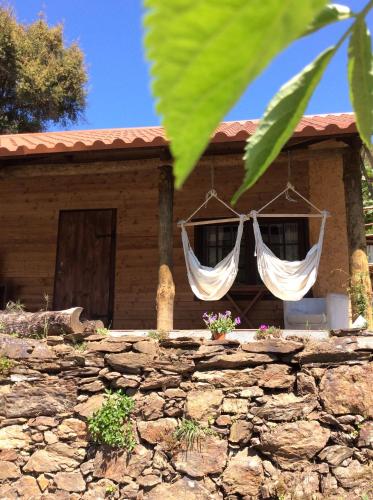 Unique Tiny House with Natural Building Techniques