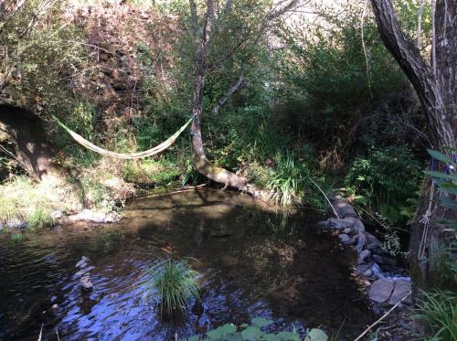 a stream with a hammock in the middle of a forest at Unique Tiny House with Natural Building Techniques in Figueiró dos Vinhos