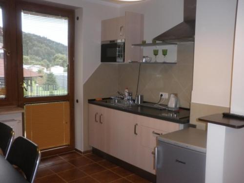 A kitchen or kitchenette at Apartament Krynica Eland