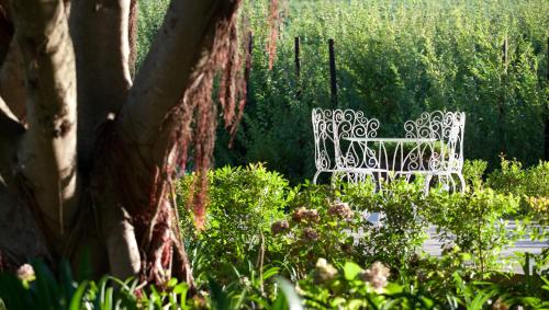 a white bench sitting in the middle of a garden at Brenaissance Wine & Stud Estate in Stellenbosch