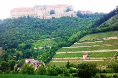 a large castle on top of a hill at Landhotel Weingut Schulze in Freyburg
