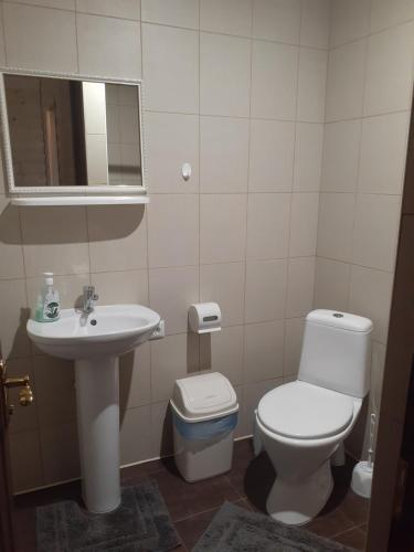 a bathroom with a white toilet and a sink at Біла хата in Iltsi