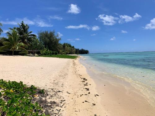 a sandy beach with palm trees and the ocean at Panama Beachfront Apartments, Rarotonga in Rarotonga