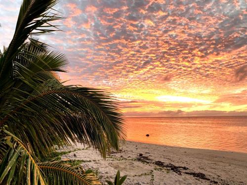 a palm tree on a beach with a sunset at Panama Beachfront Apartments, Rarotonga in Rarotonga