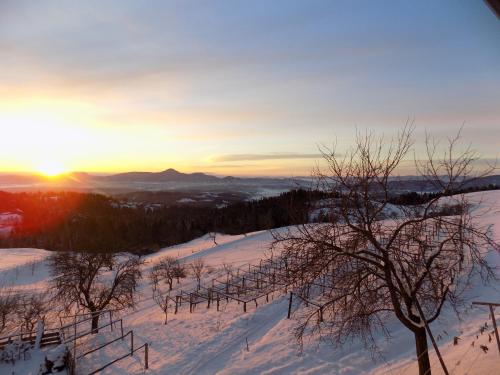 a snowy hill with trees and the sunset in the background at Apartment Zeleni dragulj Pohorje in Oplotnica