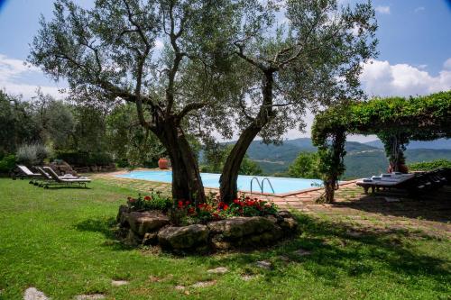 Villa Aston – Photos 4