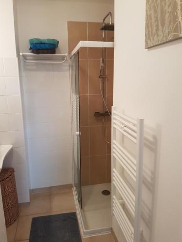 a shower with a glass door in a bathroom at Domaine de Mélody in Moriani Plage