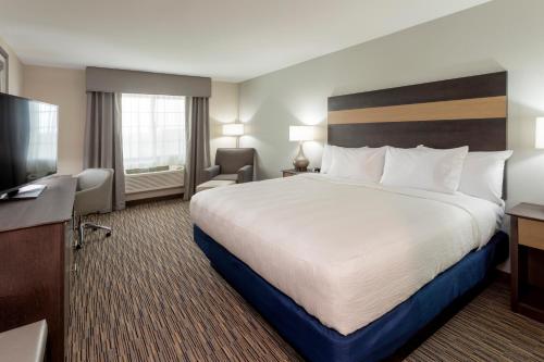 a hotel room with a bed and a flat screen tv at GrandStay Hotel & Suites in Cannon Falls