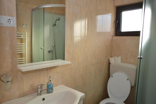 Et badeværelse på Casa Maramureșeană Larisa