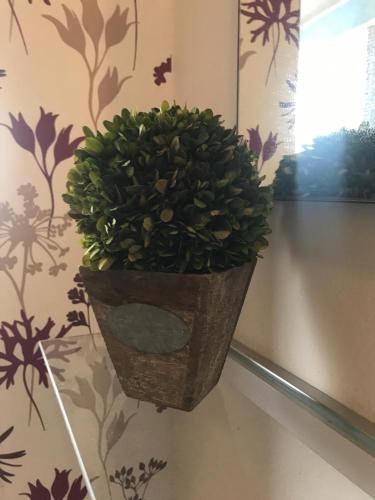 a plant in a pot hanging on a wall at Residenza Parco Gioeni in Catania