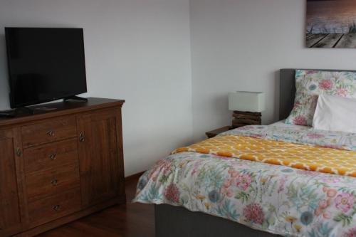 a bedroom with a bed and a television on a dresser at Podzamcze in Rożnów