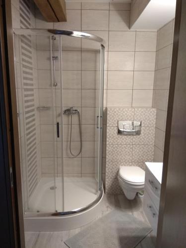 a bathroom with a shower and a toilet at Podzamcze in Rożnów