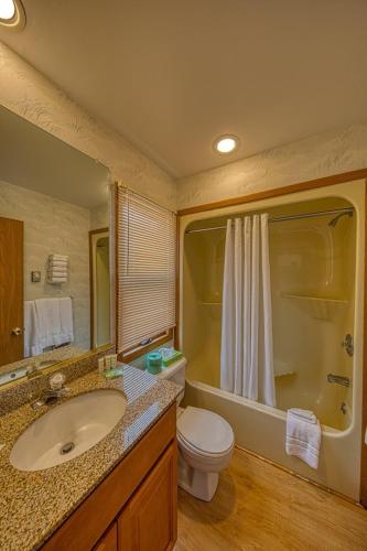 a bathroom with a toilet and a sink and a shower at Sea Spray Motel in Beach Haven