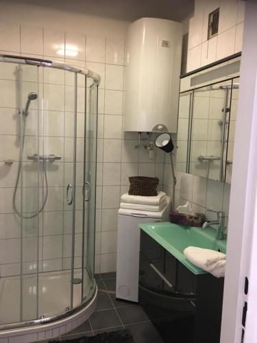a bathroom with a shower and a green sink at Apartment Elfi in Leibnitz