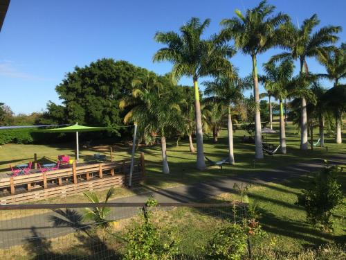 a park with palm trees and a wooden bench at Auberge de Poé in Bourail