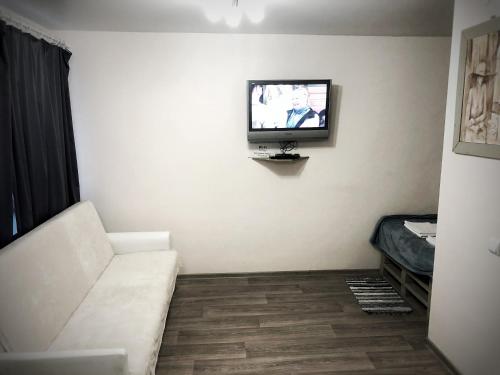 スヴェトロゴルスクにあるRauschen apartmentsのリビングルーム(ソファ、壁掛けテレビ付)