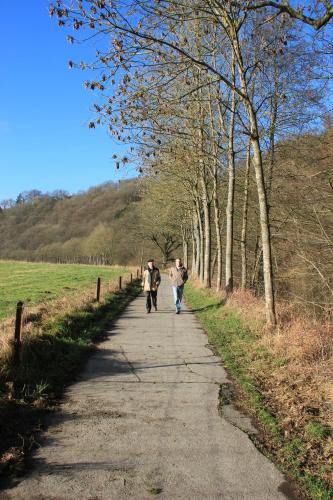 a group of people walking down a path with trees at Villa Louise in Durbuy