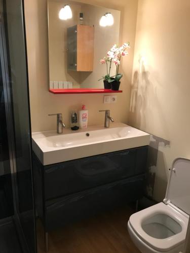 een badkamer met een wastafel en een toilet bij chez la Berthe Colmé in Toul