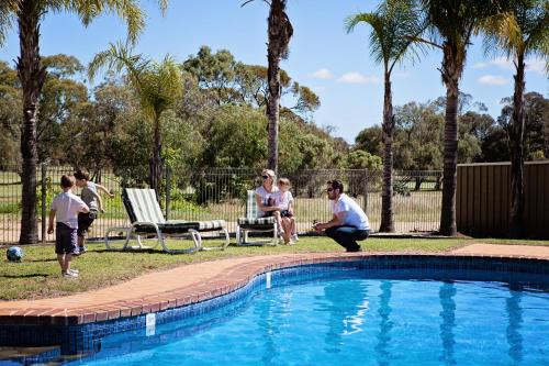people playing frisbee in a swimming pool at Comfort Inn & Suites Riverland in Barmera