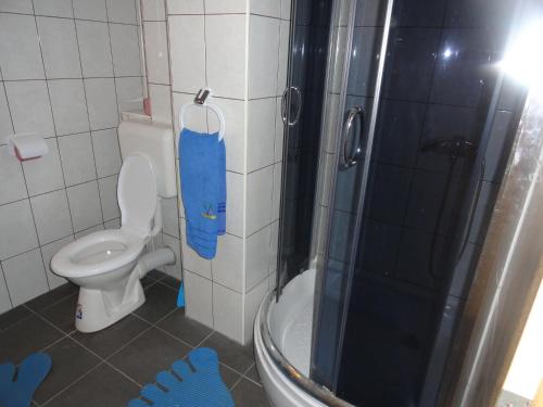 Ein Badezimmer in der Unterkunft Pensiunea Mikelis International