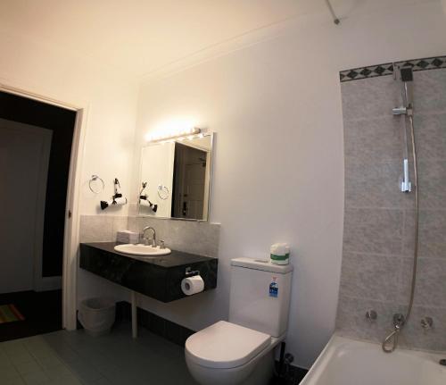 a bathroom with a toilet and a sink and a shower at Criterion Hotel Perth in Perth