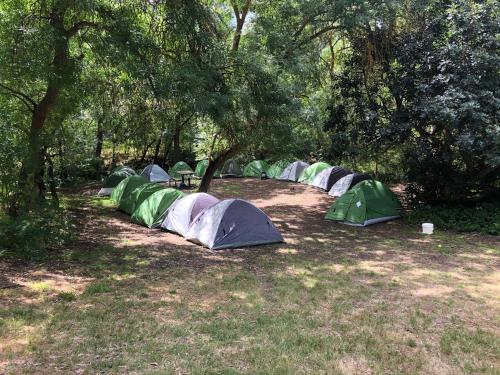 Сад в Belair National Park Holiday Park
