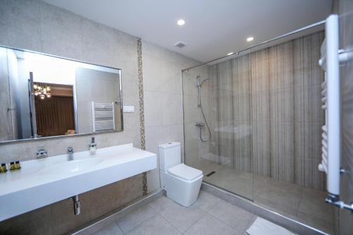 a bathroom with a sink and a toilet and a shower at Teryan Pushkin Apart Hotel in Yerevan