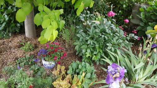a garden filled with lots of different types of flowers at Dragonflycottagebnb in Grovetown