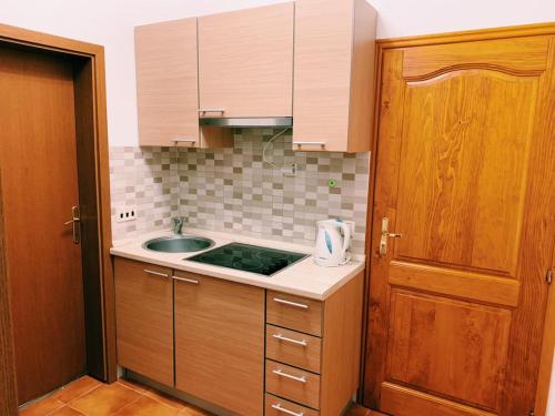 巴尔Бар Шушань Апартаменты Главановича 25的带水槽和台面的厨房
