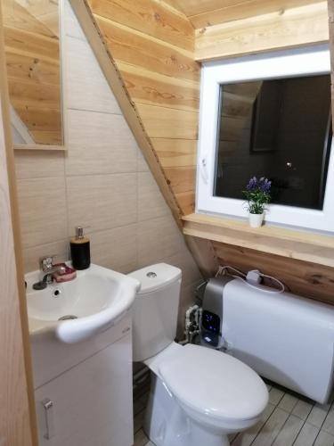 a bathroom with a toilet and a sink and a window at Apartmani RUNOLIST in Žabljak