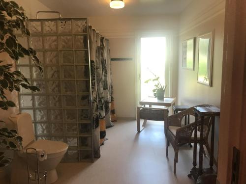 a bathroom with a glass door with a chair and a table at Vejbystrands Vandrarhem in Vejbystrand