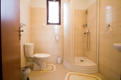 a bathroom with a toilet and a shower and a sink at Pension Jezdecké centrum Kočík in Stružná