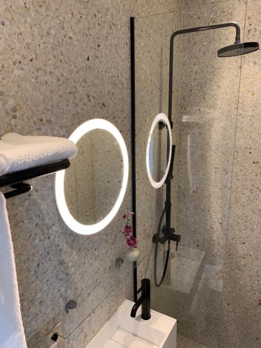 La salle de bains est pourvue d'une douche et d'un miroir. dans l'établissement PARIS RIVOLI NOTRE DAME Chambre d'Hôtes Studio Private, à Paris