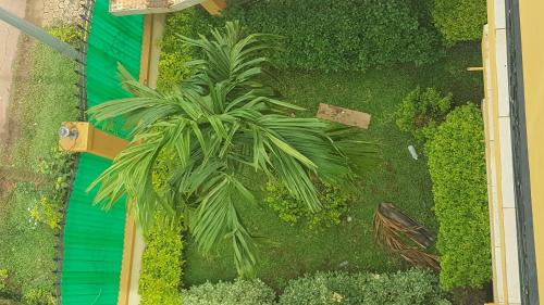 Ein Garten an der Unterkunft Résidences hôtelières Micheline et Emile BASTOS