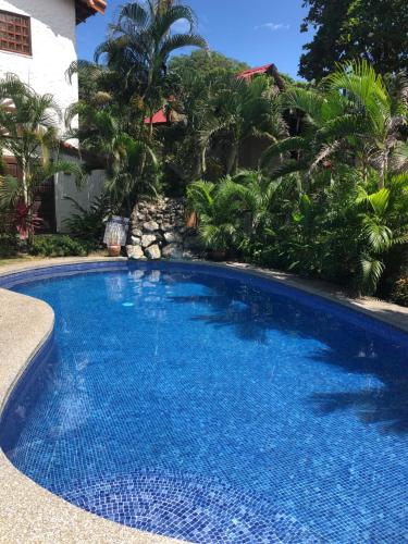 Ola Bonita BeachFront Apart Hotelの敷地内または近くにあるプール
