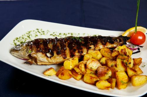 a plate of food with a fish and potatoes at Terra Hotel in Bansko
