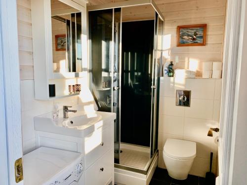 a bathroom with a shower and a sink and a toilet at Klettur in Borgarnes