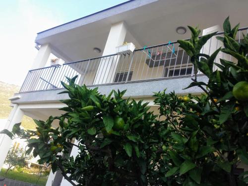 Guest House Djonovicにあるバルコニーまたはテラス