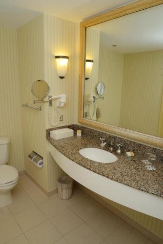 a bathroom with a sink and a toilet and a mirror at Enjoy Punta del Este in Punta del Este
