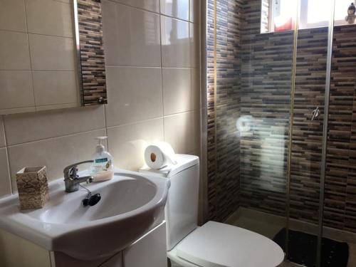 ein Bad mit einem WC, einem Waschbecken und einer Dusche in der Unterkunft CASA JUDITE in Faro