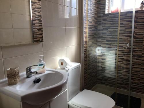 a bathroom with a toilet and a sink and a shower at CASA JUDITE in Faro