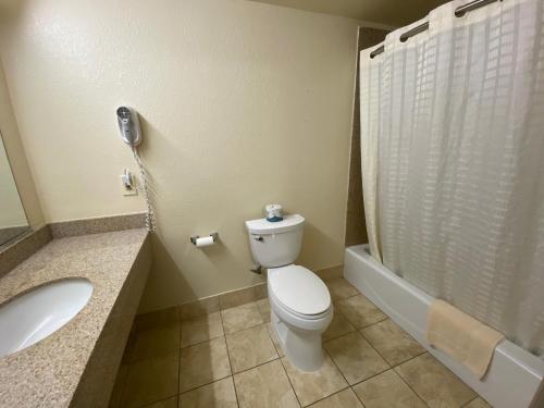 een badkamer met een toilet, een wastafel en een douche bij Lodge Inn Wrightstown - Fort Dix in Wrightstown