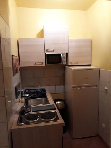a small kitchen with a stove and a microwave at Monterooms Vienna Schönbrunn 10 minutes to downtown in Vienna