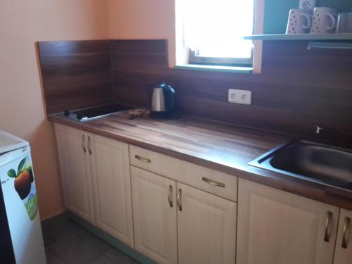 a kitchen with a sink and a wooden counter top at Pension Vladimír in Janske Lazne