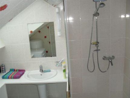 a bathroom with a shower and a sink and a mirror at Le Logis Solidaire in Saint-Aubin-de-Luigné