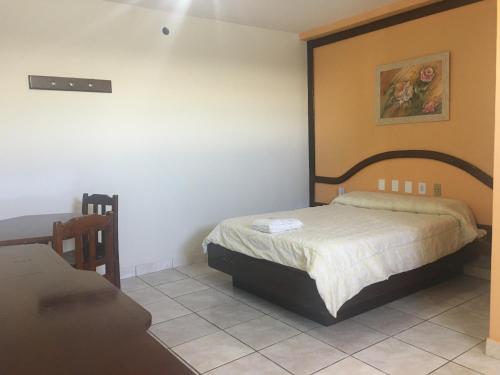 a bedroom with a bed in a room at Hotel Solar Flores in Alegrete