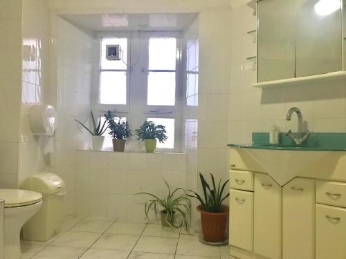 a bathroom with a sink and a toilet and windows at Merchant House in Kirkcaldy